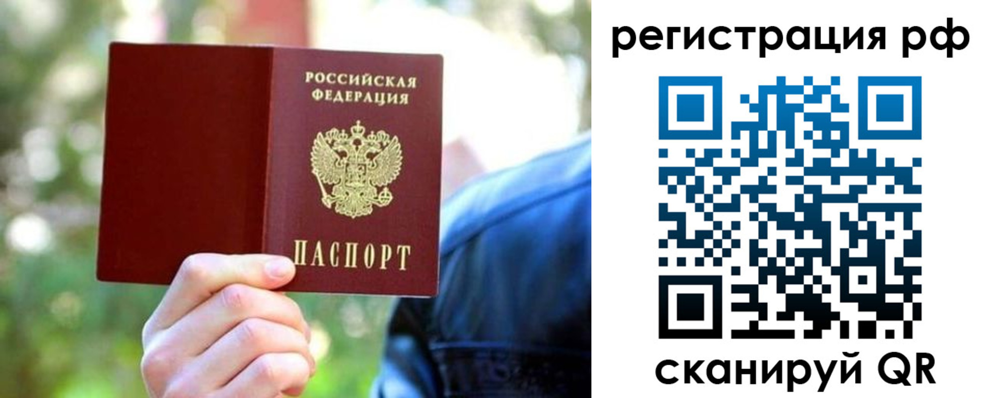 прописка поиск в Стародубе